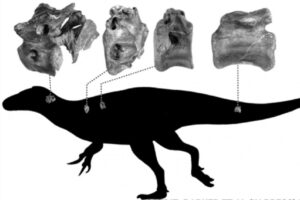 restos-dinosaurio-inglaterra