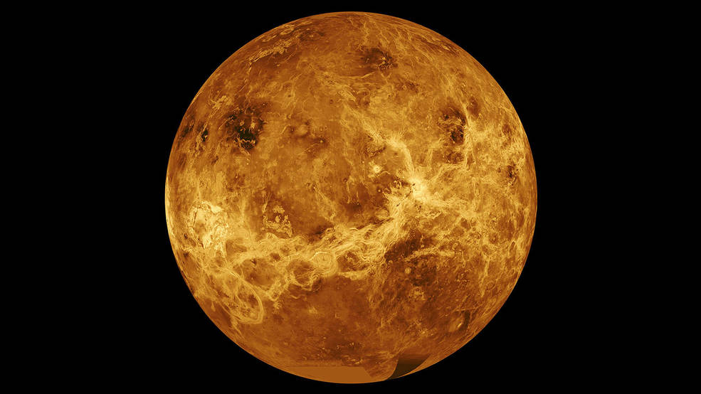 Venus - Cortesía 
