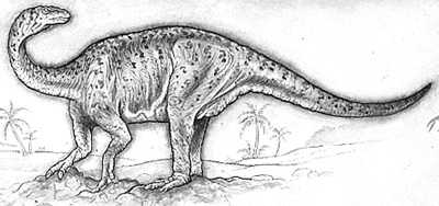 Lufengosaurus 