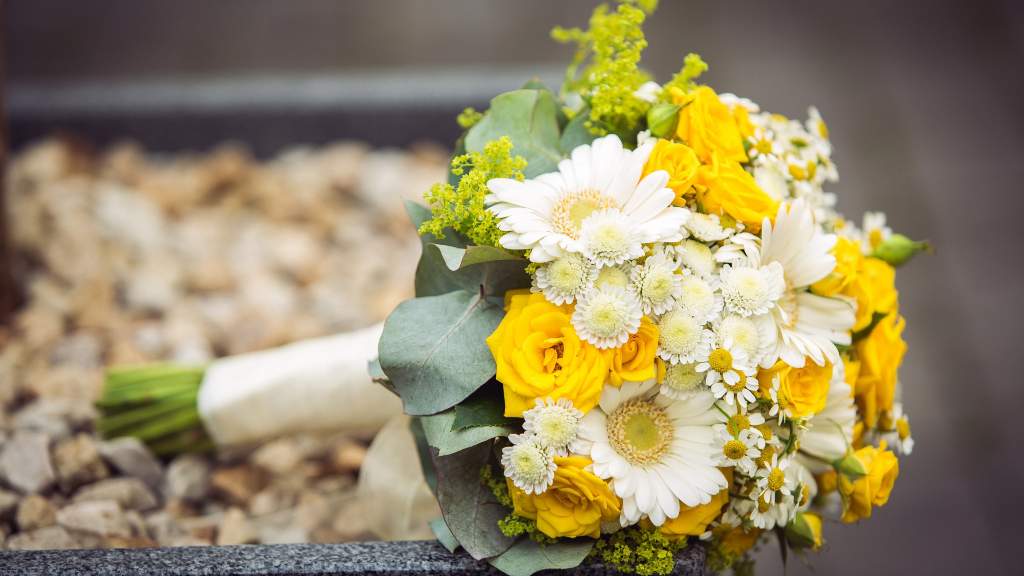 Flores blancas y amarillas para intuir como hadas - Cortesía