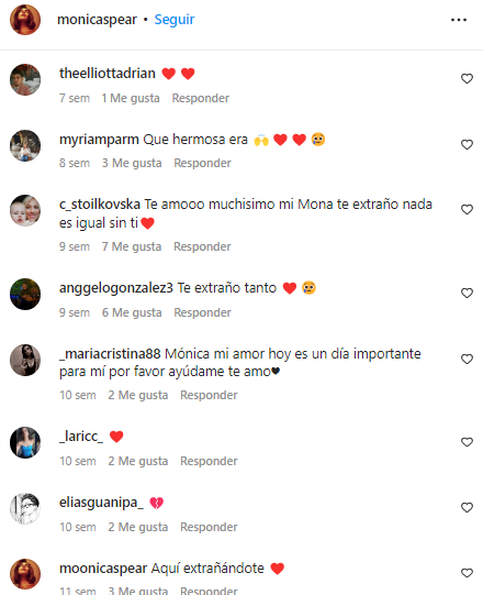 Comentarios Mónica Spear