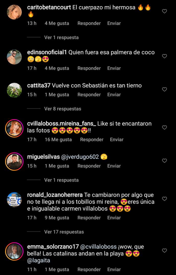 Comentarios Carmen Villalobos