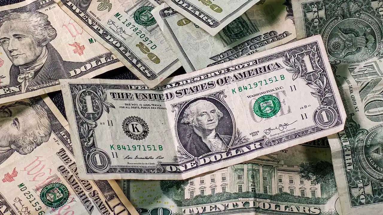 Dólares - cortesía